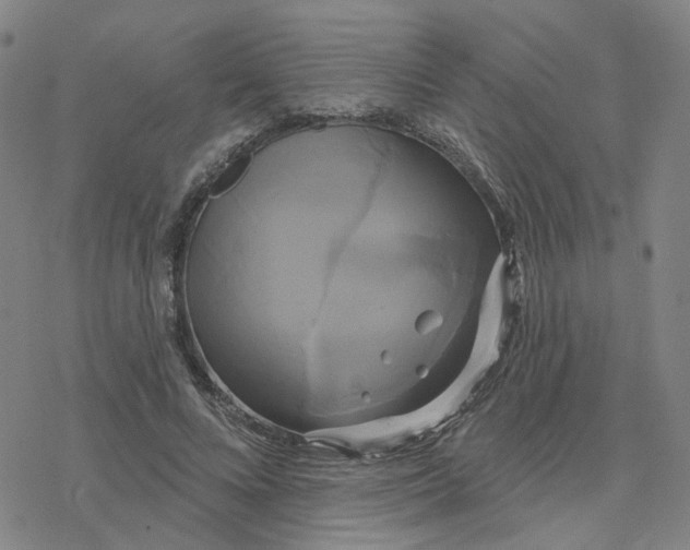 X0000076380688200610271528