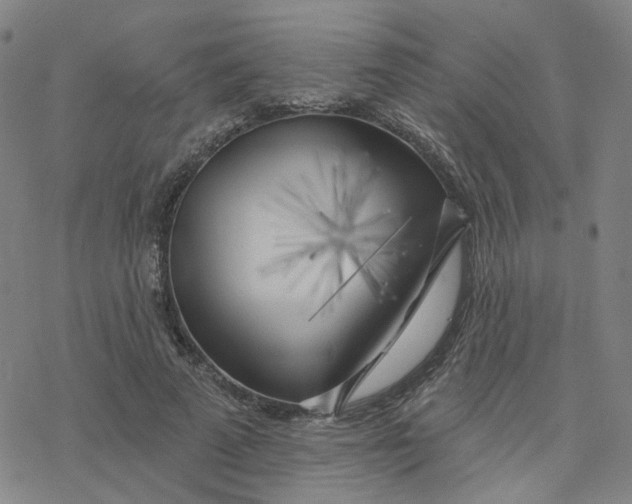 X0000076380689200610271528