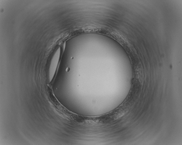 X0000076380690200610271528