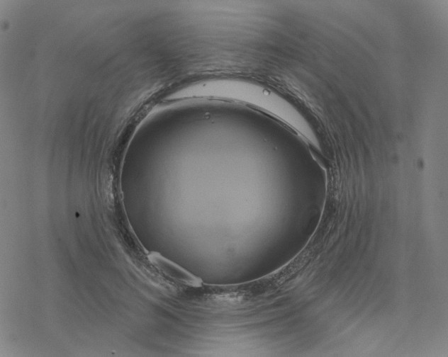 X0000076380692200610271528