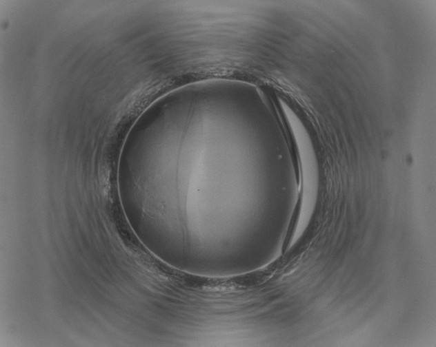 X0000076380693200610271528