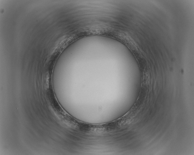 X0000076380694200610271528