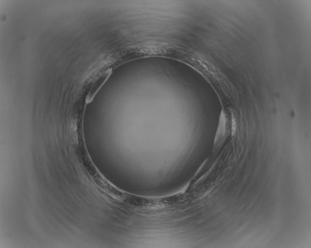 X0000076380696200610271528