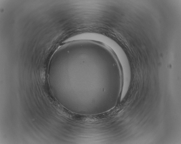 X0000076380697200610271528