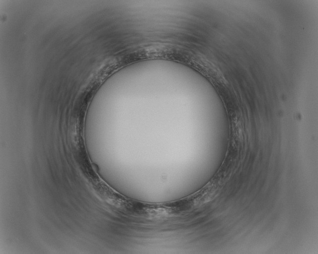 X0000076380698200610271528