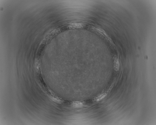 X0000076380701200610271528