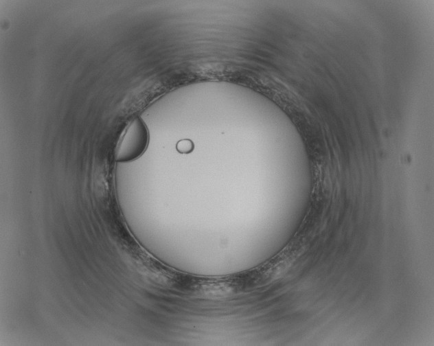 X0000076380702200610271528