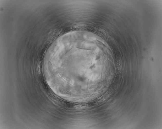 X0000076380703200610271528