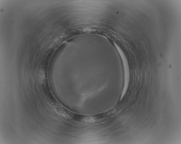 X0000076380704200610271528