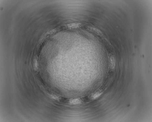 X0000076380705200610271528