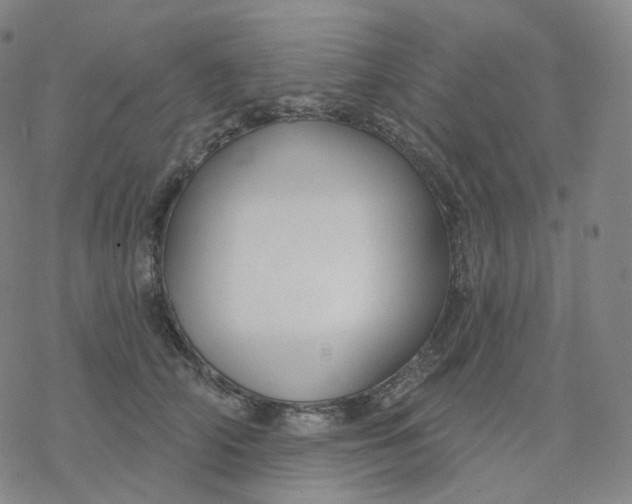 X0000076380706200610271528