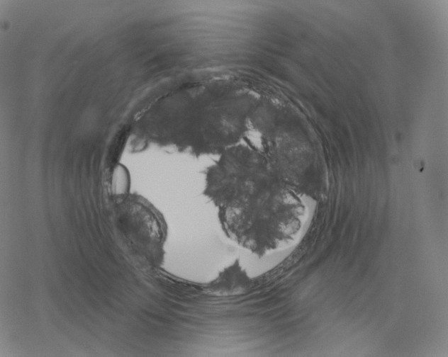 X0000076380707200610271528