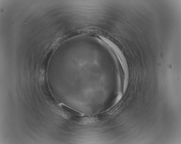 X0000076380708200610271528