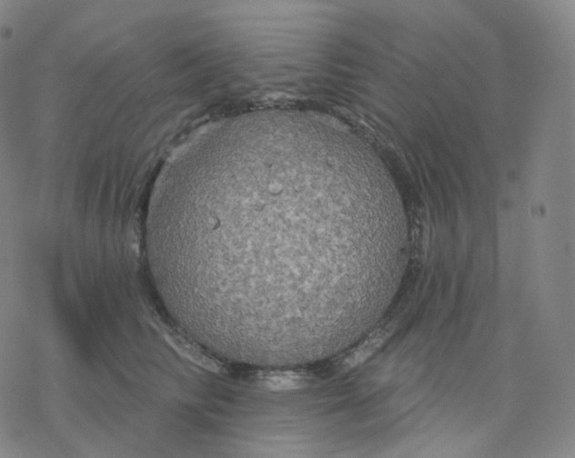 X0000076380710200610271528