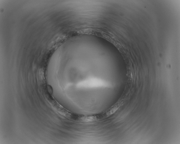 X0000076380711200610271528