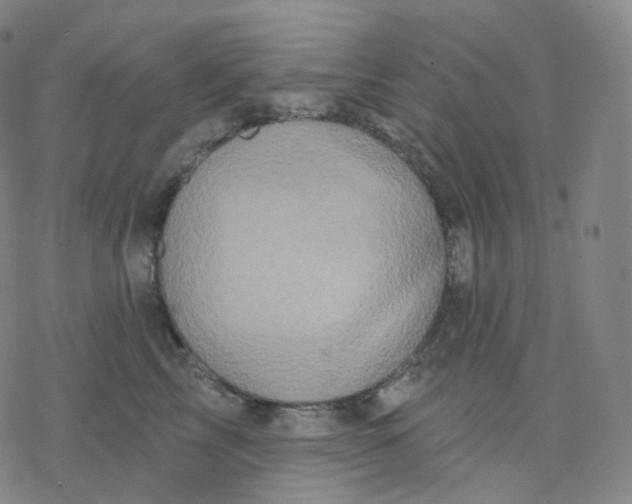 X0000076380713200610271528