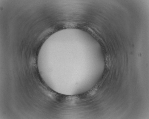 X0000076380714200610271528