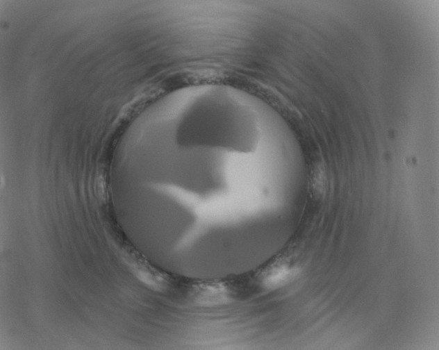 X0000076380715200610271528