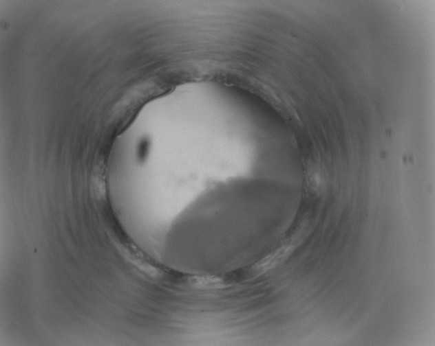 X0000076380719200610271528