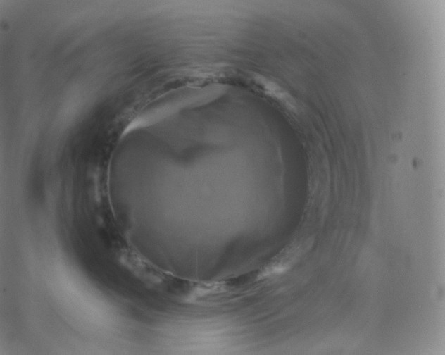 X0000076380720200610271528