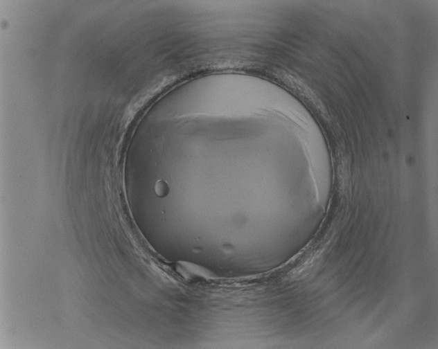 X0000076380721200610271527