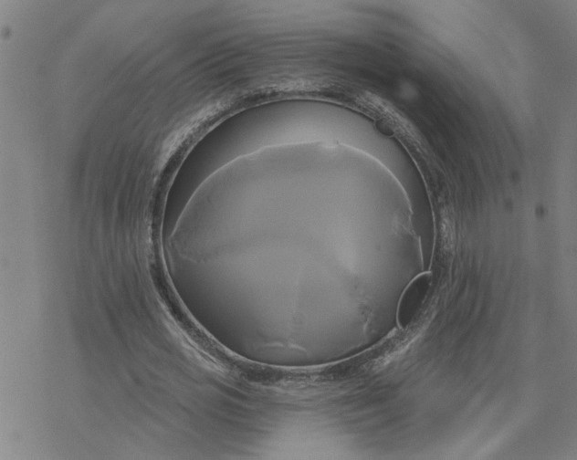 X0000076380725200610271527