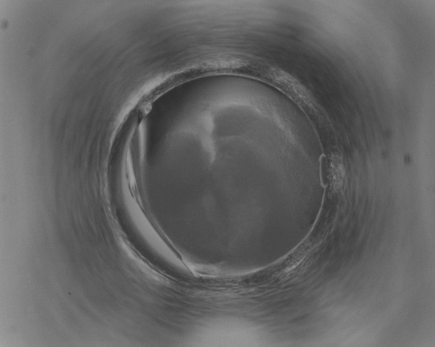 X0000076380726200610271527