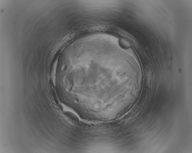 X0000076380729200610271527