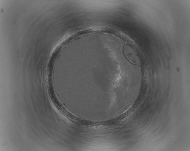 X0000076380730200610271527