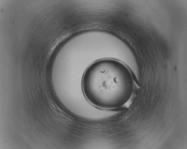 X0000076380731200610271527