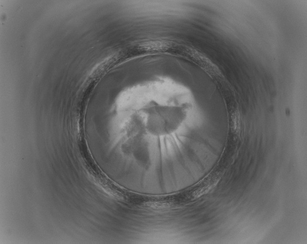 X0000076380733200610271527