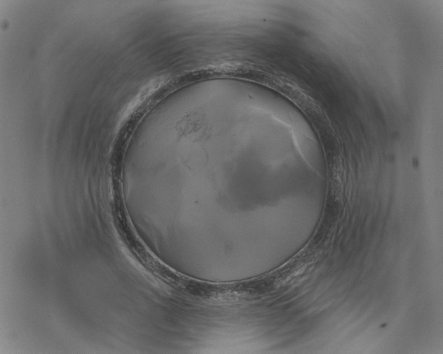 X0000076380734200610271527