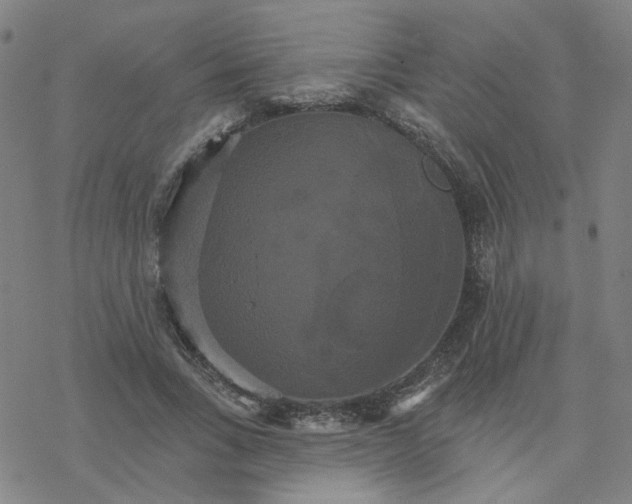 X0000076380735200610271527