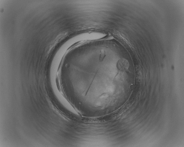 X0000076380738200610271527