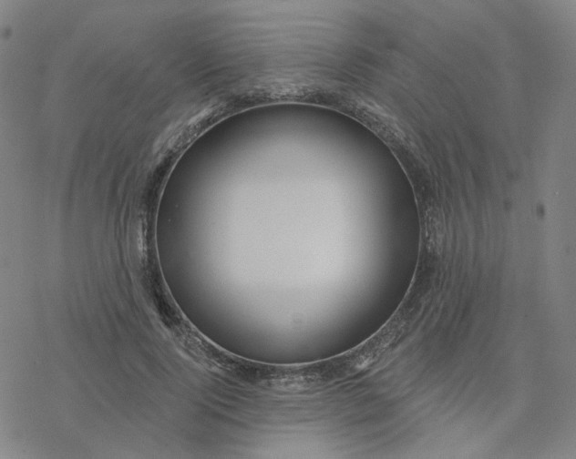 X0000076380740200610271527