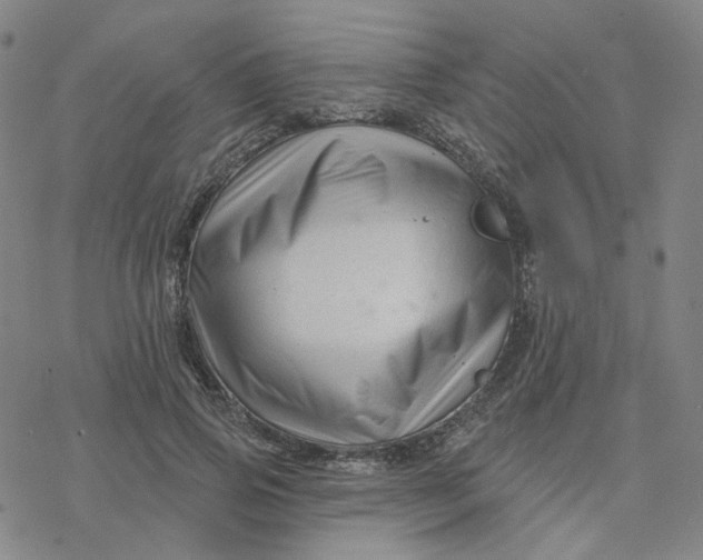 X0000076380741200610271527