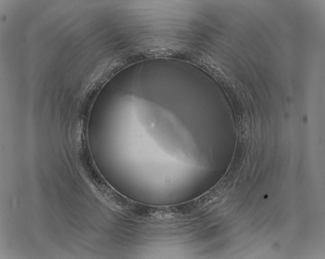 X0000076380742200610271527