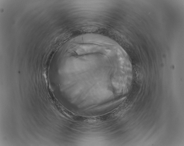 X0000076380745200610271527