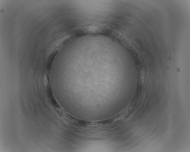 X0000076380746200610271527