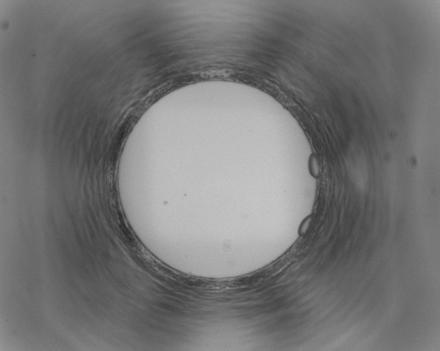 X0000076380747200610271527