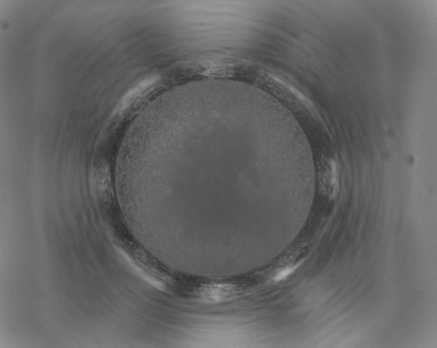 X0000076380748200610271527