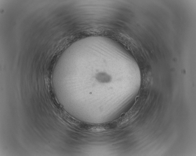 X0000076380749200610271527