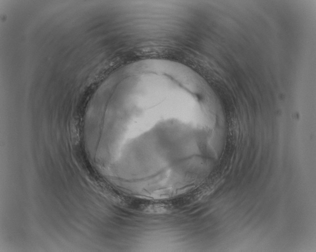 X0000076380751200610271527