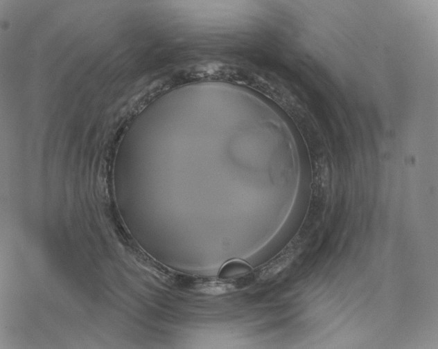 X0000076380754200610271527