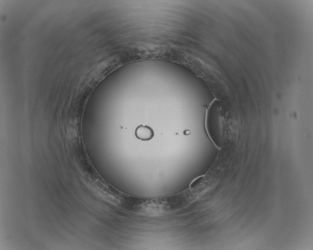 X0000076380756200610271527