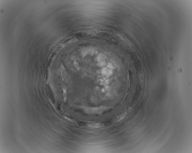 X0000076380757200610271527