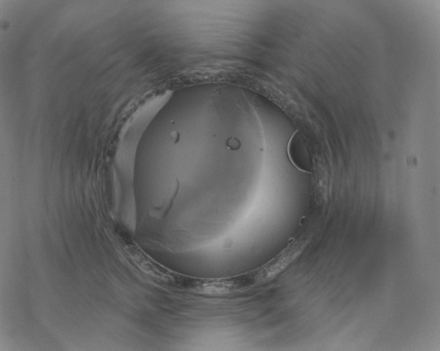 X0000076380758200610271528