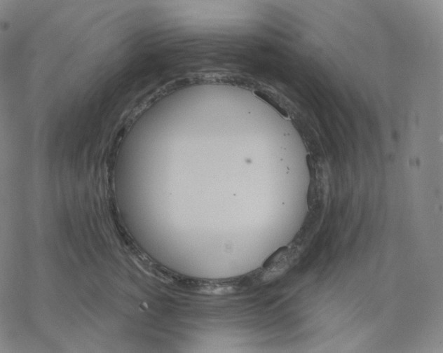 X0000076380760200610271528