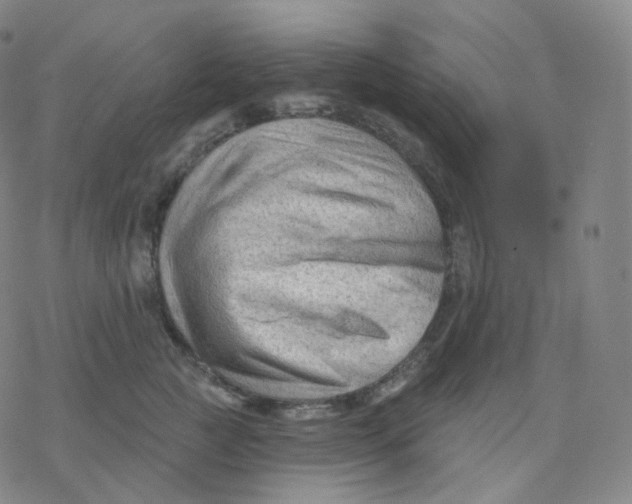 X0000076380761200610271528