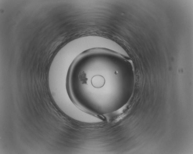 X0000076380762200610271528